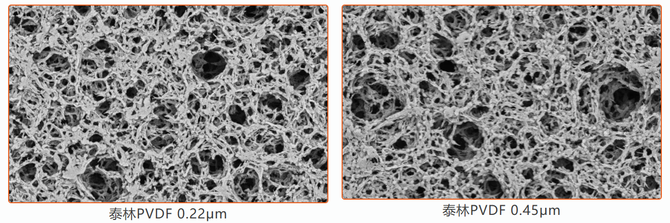 1772605236601622TAXH.png 圖片3.png