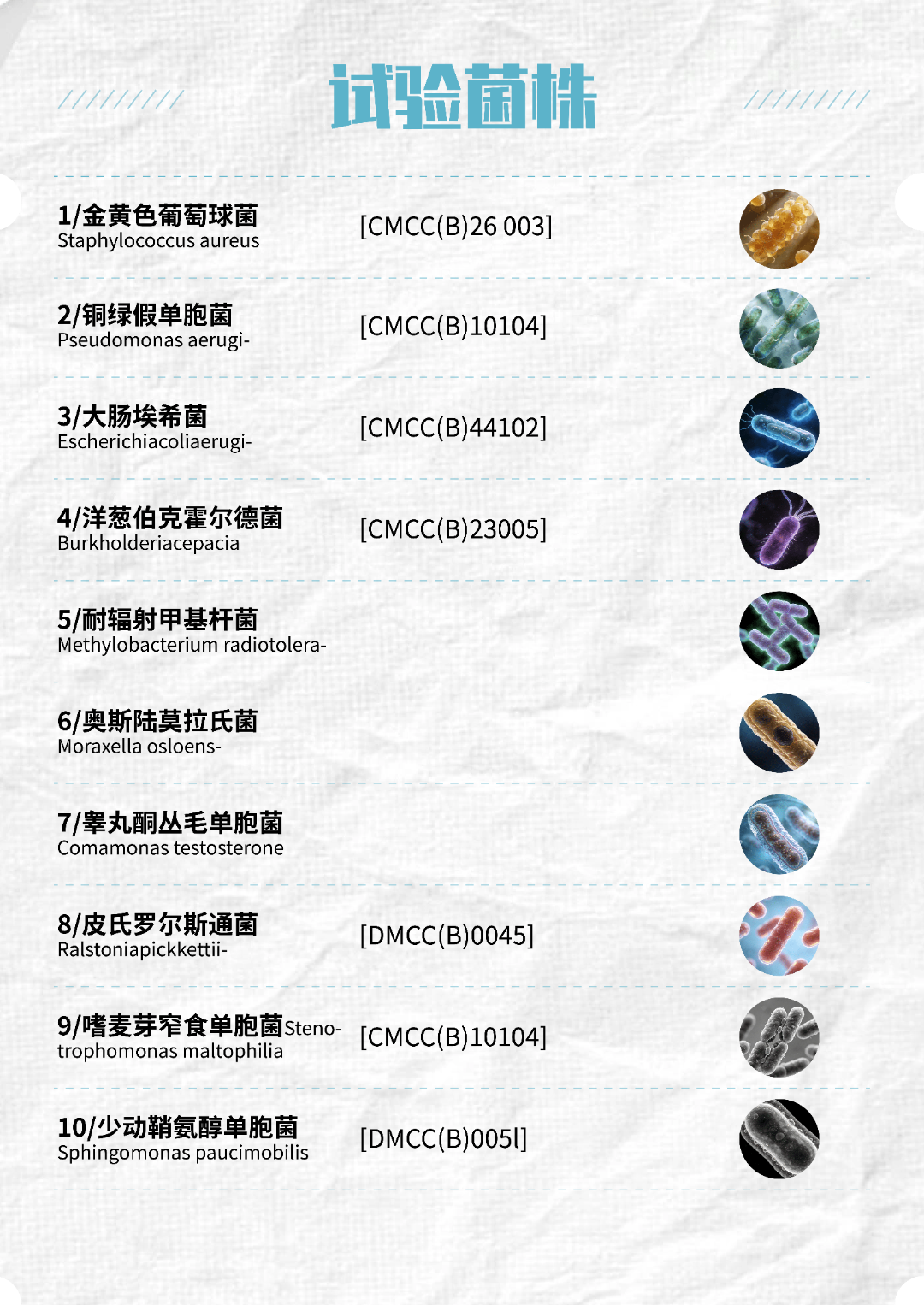 1774318039435628Gprc.png 3.png